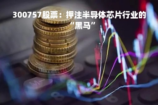 300757股票：押注半导体芯片行业的“黑马”