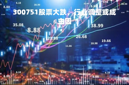 300751股票大跌，行业调整或成主因