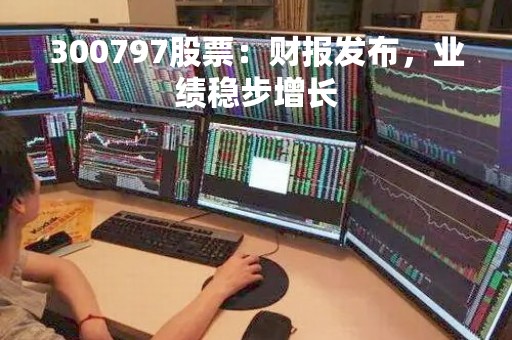 300797股票：财报发布，业绩稳步增长