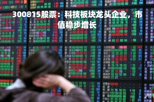 300815股票：科技板块龙头企业，市值稳步增长