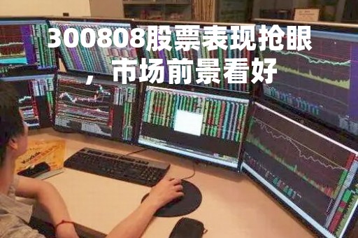 300808股票表现抢眼，市场前景看好
