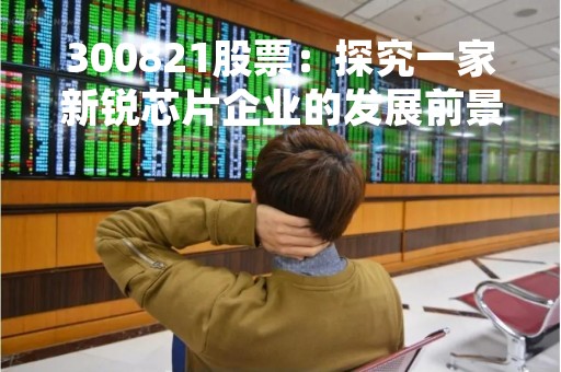 300821股票：探究一家新锐芯片企业的发展前景
