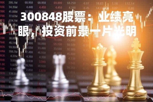 300848股票：业绩亮眼，投资前景一片光明