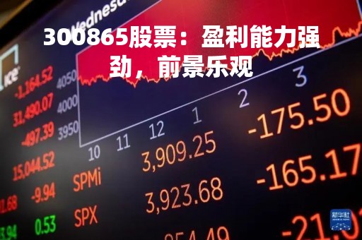 300865股票：盈利能力强劲，前景乐观