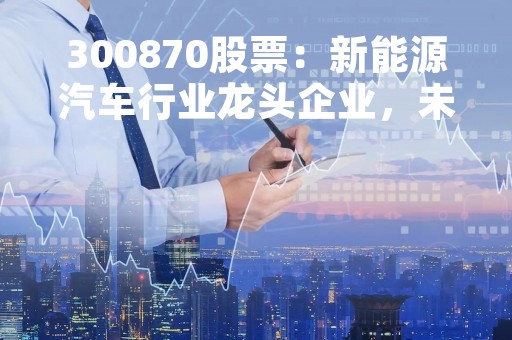 300870股票：新能源汽车行业龙头企业，未来发展潜力巨大