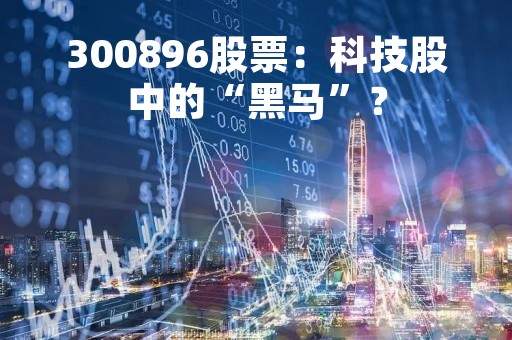 300896股票：科技股中的“黑马”？