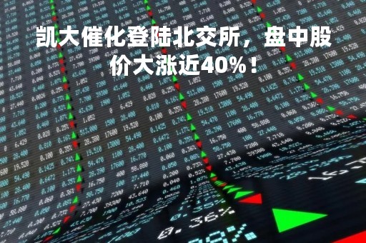 凯大催化登陆北交所，盘中股价大涨近40%！