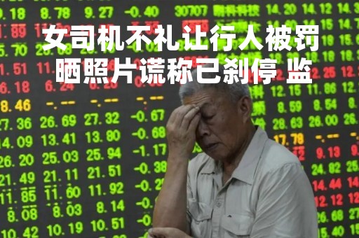 女司机不礼让行人被罚 晒照片谎称已刹停 监控戳破谎言