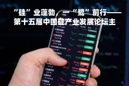 “硅”业蓬勃，一“鹭”前行——第十五届中国硅产业发展论坛主题演讲