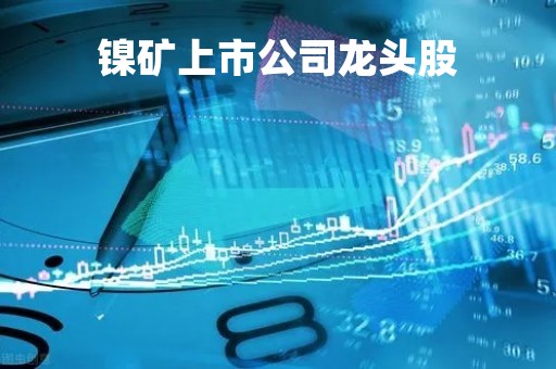 镍矿上市公司龙头股