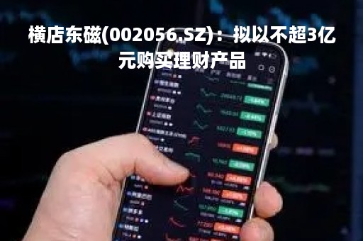 横店东磁(002056.SZ)：拟以不超3亿元购买理财产品