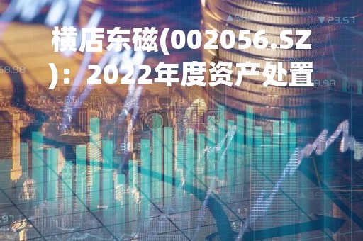 横店东磁(002056.SZ)：2022年度资产处置及计提资产减值准备2.97亿元