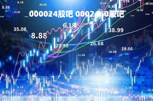 000024股吧 0002460股吧