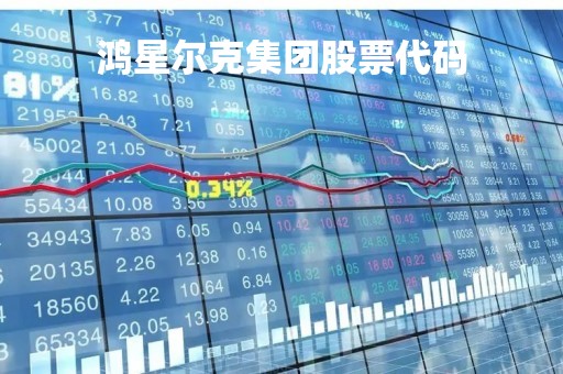 鸿星尔克集团股票代码