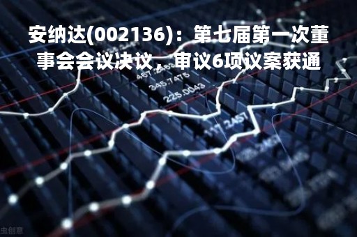 安纳达(002136)：第七届第一次董事会会议决议，审议6项议案获通过