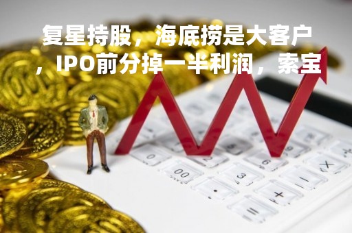 复星持股，海底捞是大客户，IPO前分掉一半利润，索宝蛋白毛利率却持续走低