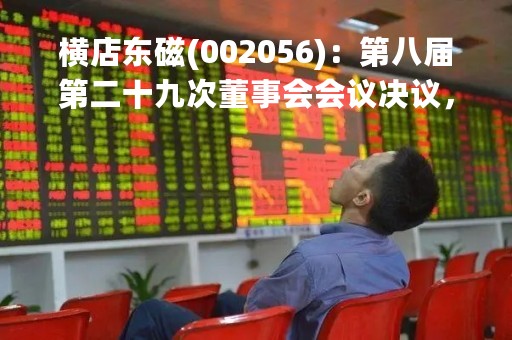 横店东磁(002056)：第八届第二十九次董事会会议决议，审议15项议案获通过