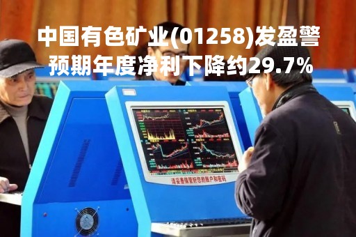 中国有色矿业(01258)发盈警 预期年度净利下降约29.7% 中国有色矿业(01258)发盈警 预期年度净利下降约29.7%