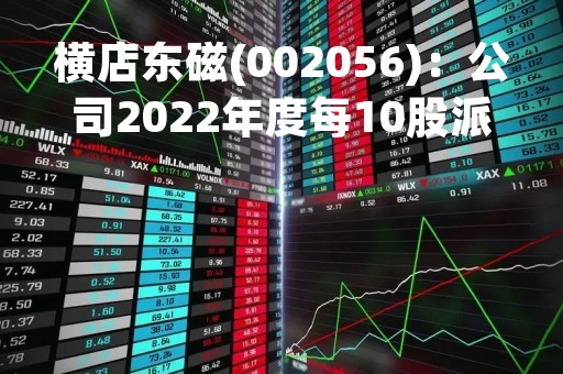 横店东磁(002056)：公司2022年度每10股派现金红利3.62元