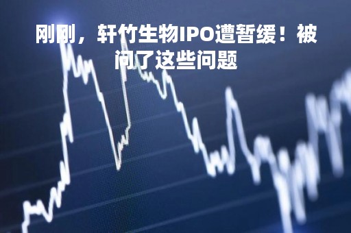 刚刚，轩竹生物IPO遭暂缓！被问了这些问题