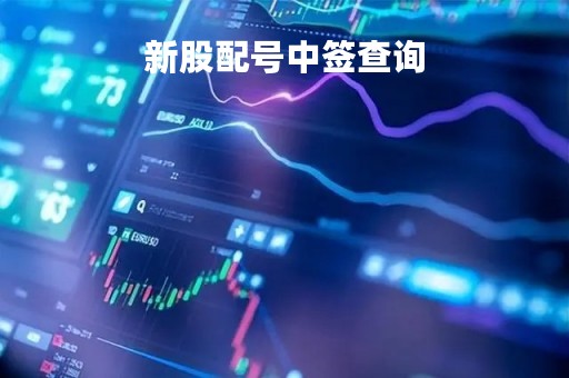 新股配号中签查询