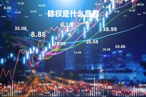 除权是什么意思