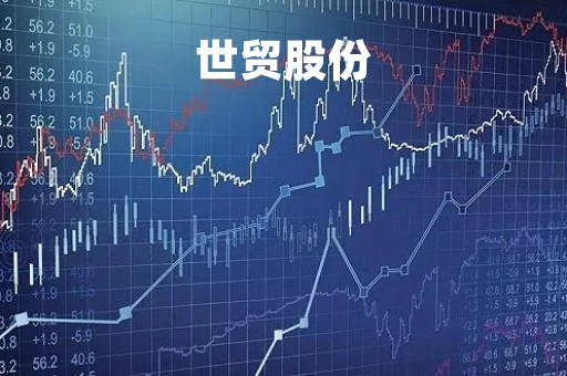 世贸股份