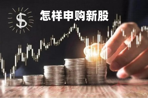 怎样申购新股