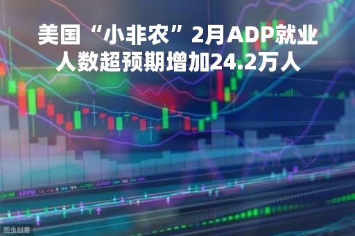 美国“小非农”2月ADP就业人数超预期增加24.2万人