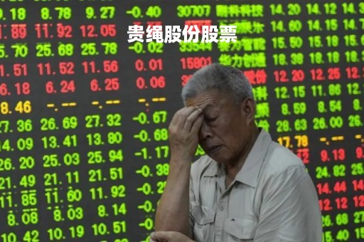贵绳股份股票