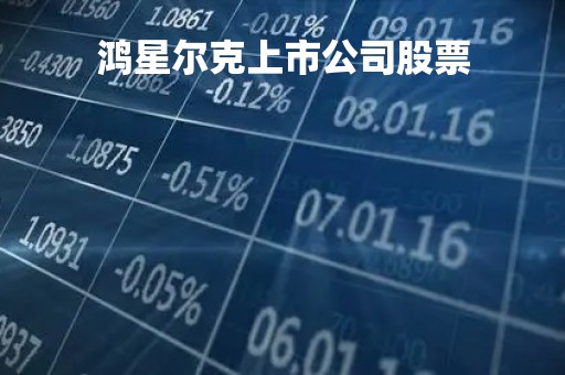 鸿星尔克上市公司股票