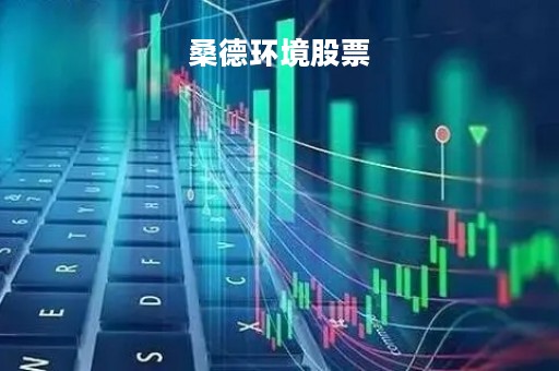桑德环境股票