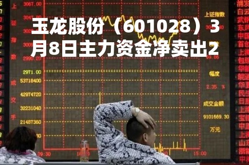 玉龙股份（601028）3月8日主力资金净卖出2910.96万元