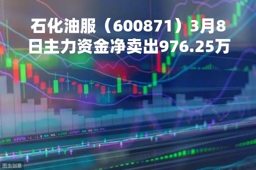 石化油服（600871）3月8日主力资金净卖出976.25万元