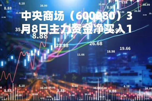 中央商场（600280）3月8日主力资金净买入165.94万元