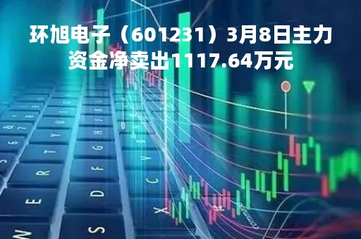 环旭电子（601231）3月8日主力资金净卖出1117.64万元