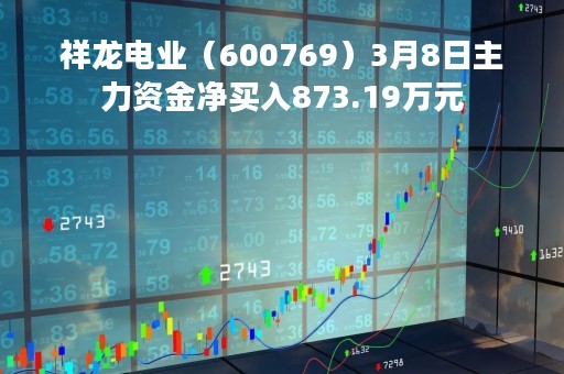 祥龙电业（600769）3月8日主力资金净买入873.19万元
