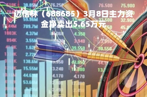 迈信林（688685）3月8日主力资金净卖出5.65万元