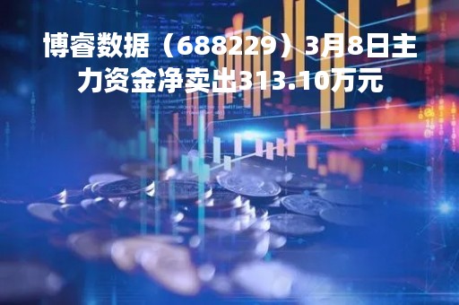 博睿数据（688229）3月8日主力资金净卖出313.10万元