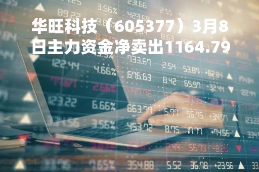 华旺科技（605377）3月8日主力资金净卖出1164.79万元