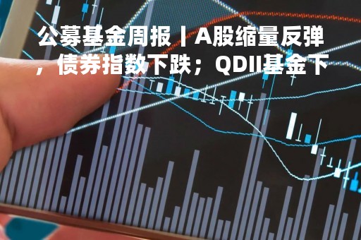 公募基金周报丨A股缩量反弹，债券指数下跌；QDII基金下跌，其余基金指数上涨