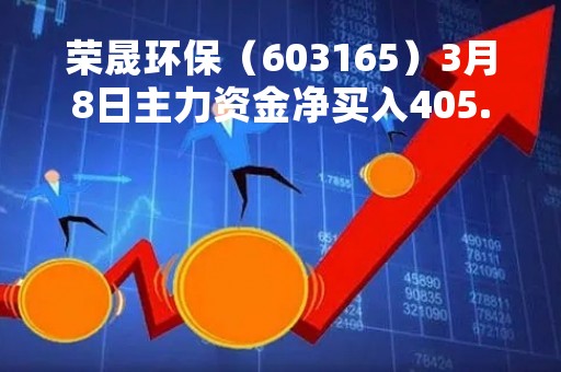 荣晟环保（603165）3月8日主力资金净买入405.35万元
