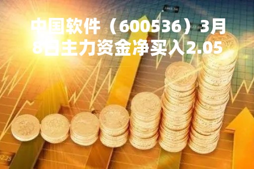 中国软件（600536）3月8日主力资金净买入2.05亿元