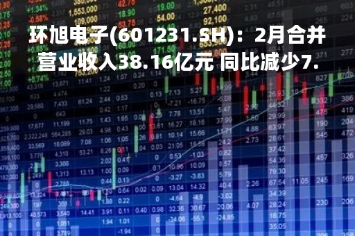 环旭电子(601231.SH)：2月合并营业收入38.16亿元 同比减少7.78%