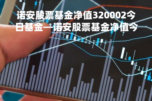 诺安股票基金净值320002今日基金—诺安股票基金净值今日32005