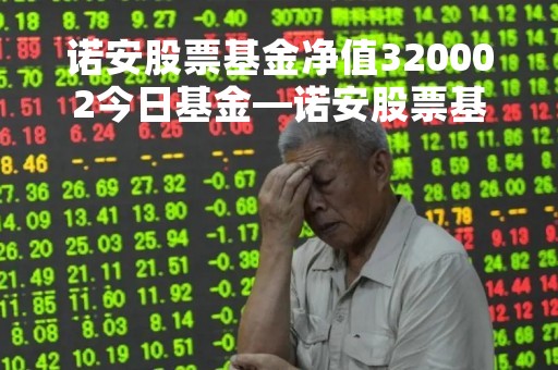 诺安股票基金净值320002今日基金—诺安股票基金净值今日32005 诺安股票基金净值320002今日基金—诺安股票基金净值今日32005