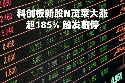 科创板新股N茂莱大涨超185% 触发临停