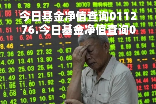 今日基金净值查询011276.今日基金净值查询001184