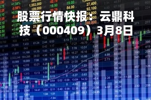 股票行情快报：云鼎科技（000409）3月8日主力资金净买入123.25万元
