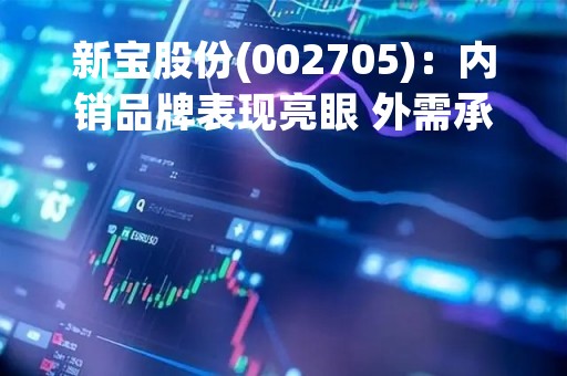 新宝股份(002705)：内销品牌表现亮眼 外需承压拖累盈利